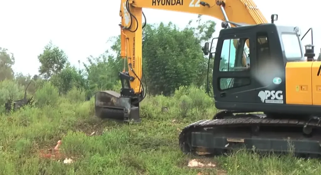 Sydney Forestry Mulching