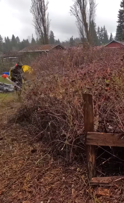 bushfire maintenance service in Sydney