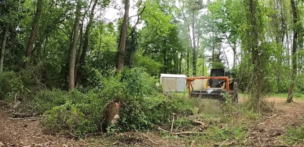 land clearing cost in NSW Australia