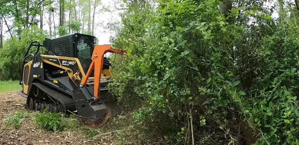 land clearing costs in Sydney Australia