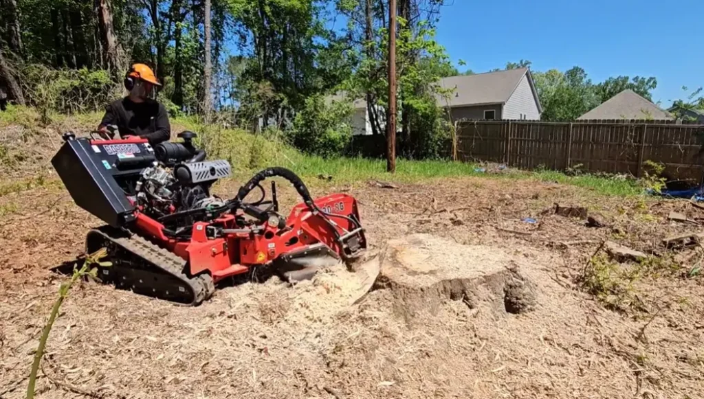 stump grinding in Sydney
