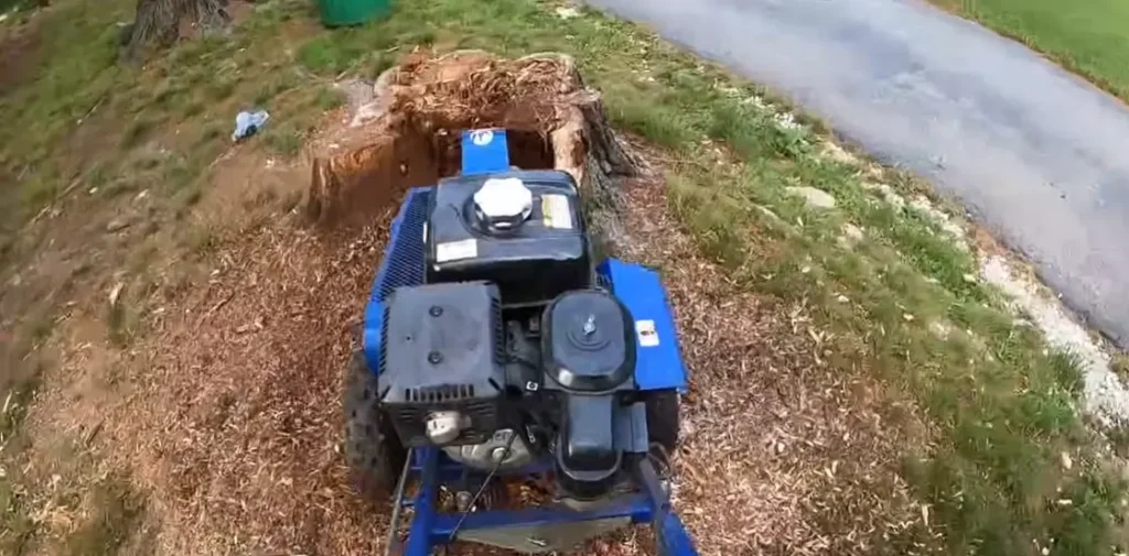 stump grinding process in Sydney part 1